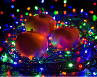 Vianočné osvetlenie vonkajšie / vnútorné 1000 LED viacfarebné - 220V / 31V - 103m